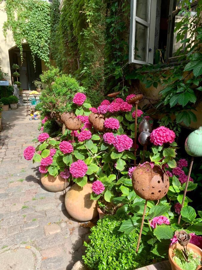 Apothekergaarden Stege B&B Exterior photo